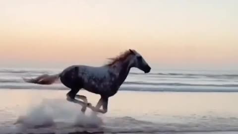 Unstoppable I Running Horse Motivational Quote