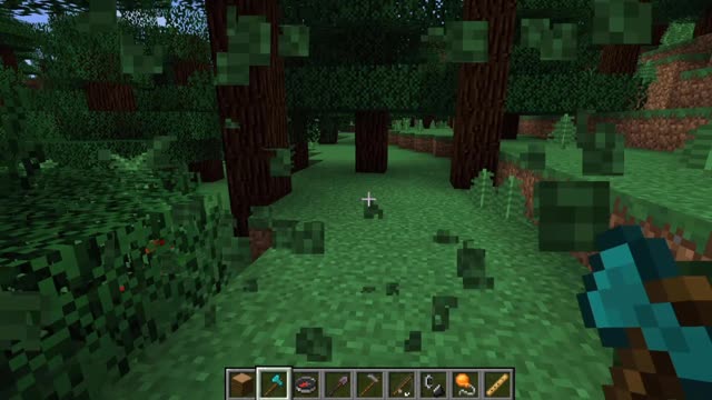 Minecraft vanilla skin version 1.17.1_Shorts_5