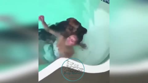 smart dog saving his owner in the pool