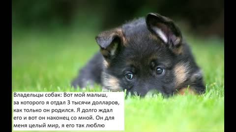 Приколы до смеха!