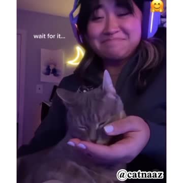 How kind this cat is