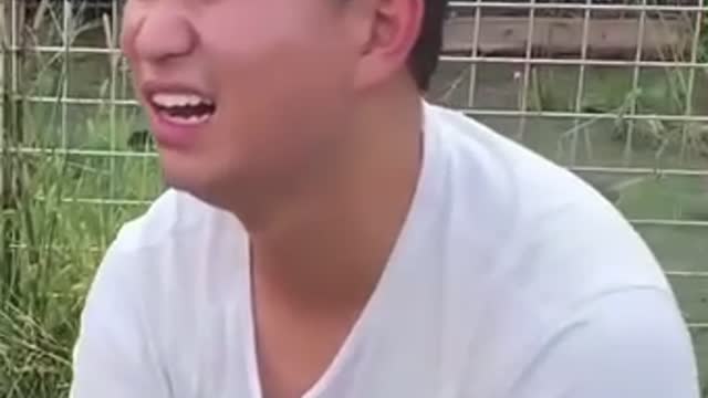 Intelligent Dogs Of 2021