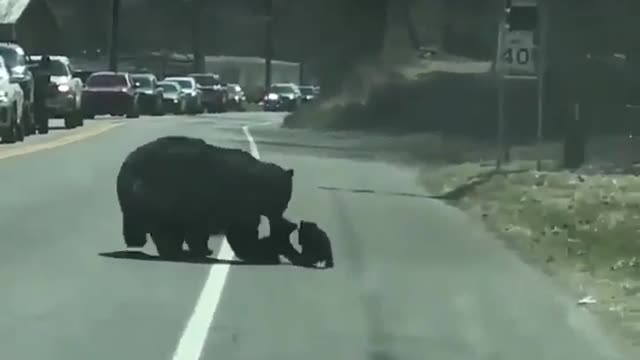 no one said that being MOM is EASY_Trim никто не говорил, что быть МАМОЙ ЛЕГКО_Trim