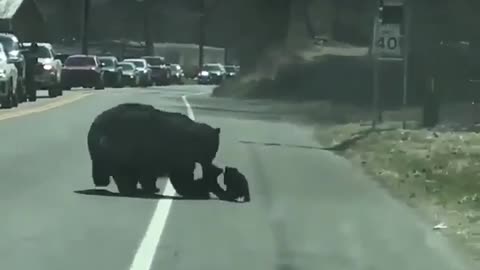 no one said that being MOM is EASY_Trim никто не говорил, что быть МАМОЙ ЛЕГКО_Trim