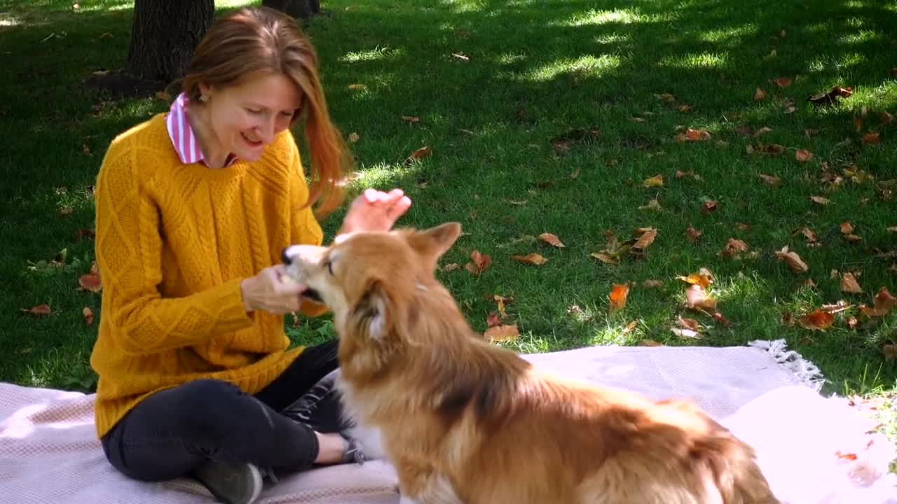 A woman and her dog enjoying the park