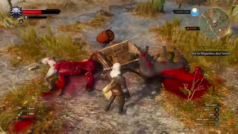 THE WITCHER 3 PART 2