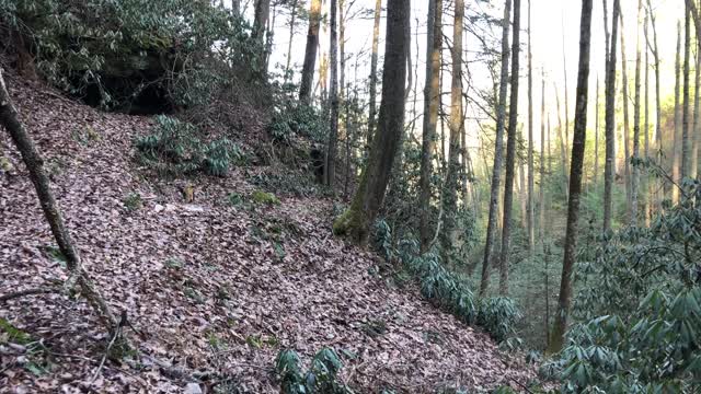 Red River Gorge 12/8-10 solo camping trip