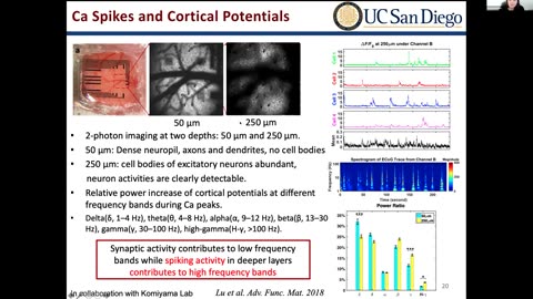 Day 1, Part 1: Brain, Mind, and Body: Cognitive Neuroengineering for Health and Wellness IEEEembs 2021