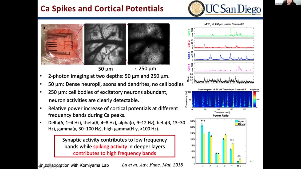 Day 1, Part 1: Brain, Mind, and Body: Cognitive Neuroengineering for Health and Wellness IEEEembs 2021