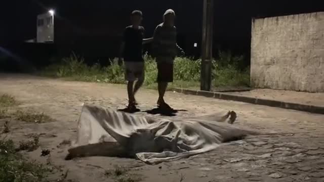 let's play dead or alive