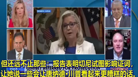 最新议会报告建议以“干扰证人”罪逮捕利兹·切尼