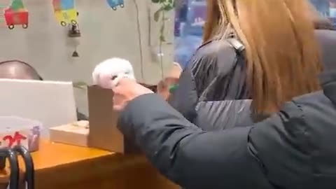 Best funny video