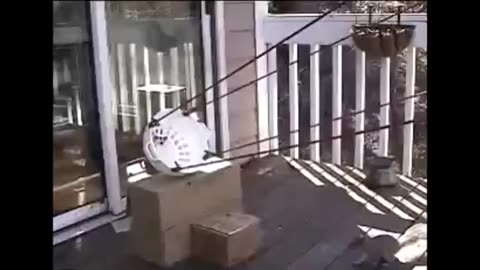 Are you sure it's not a trap? "DAVE SAID IT AIN'T A TRAP"
