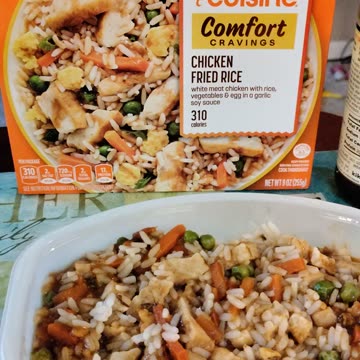 Eating Lean Cuisine Chicken Fried Rice, Dbn, MI, 10/26/23