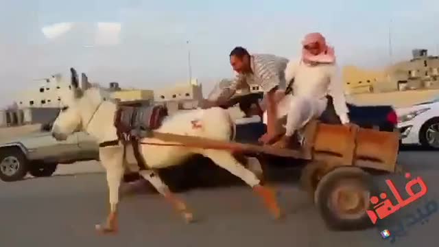 مقطع كوميديا