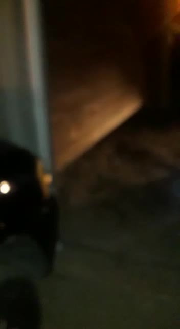 Woman hurt as ‘drug den’ is petrol-bombed