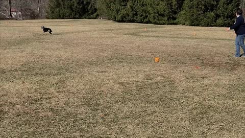 Linda and Elsa first frisbee outing