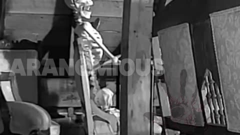 Paranormal activity #12