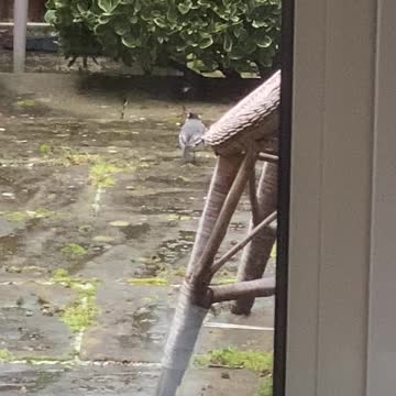 Spring just round the corner 👍