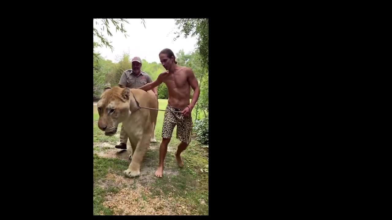 900 pound cat world record