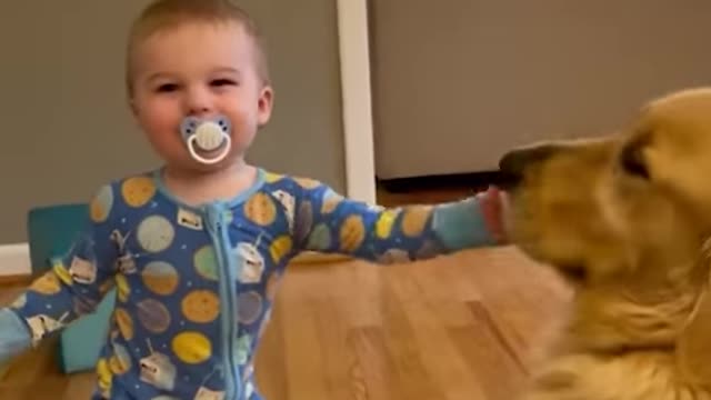 Little guy pulling for his life 🤣🐶