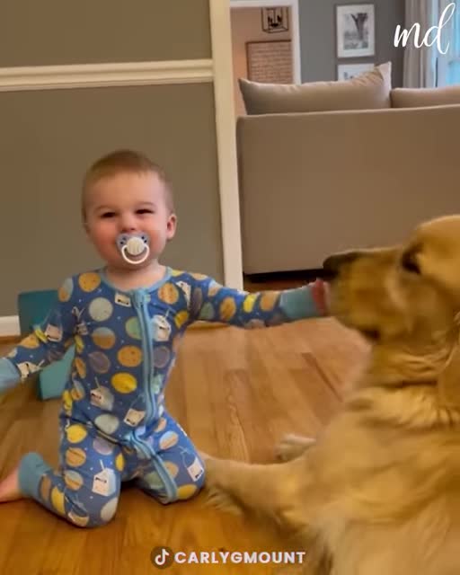 Little guy pulling for his life 🤣🐶