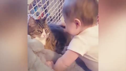 Babies and Cats