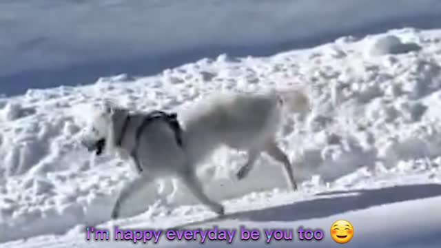 I'm happy everyday be you too ☺️