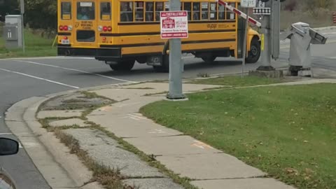 School Bus Comes Uncomfortably Close to Train