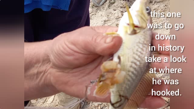 Family fishing day