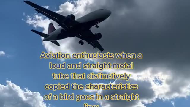 Aviation enthusiasts when