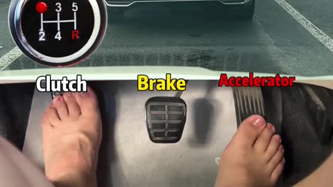 Learn To Shift Gears and Drive