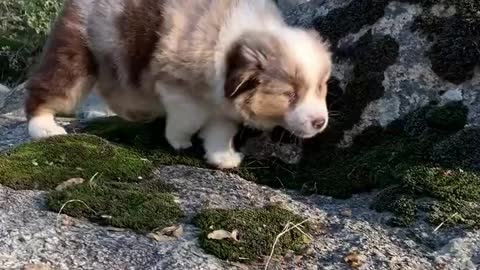 When mom takes away your Xbox