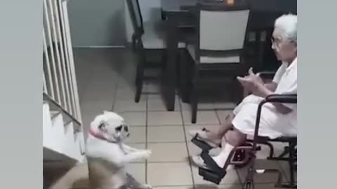 GRANDMAM VERY NICE TO DOG