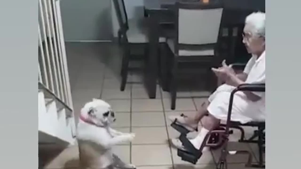 GRANDMAM VERY NICE TO DOG