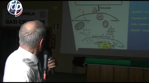 Dott. Domenico Mastrangelo