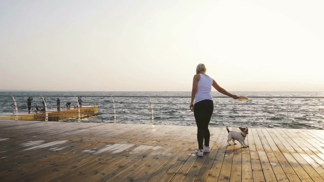 Young woman training cute dog Jack Russel near the sea