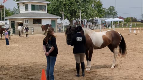 Hazel and Avi - English Showmanship - 26 July 2023