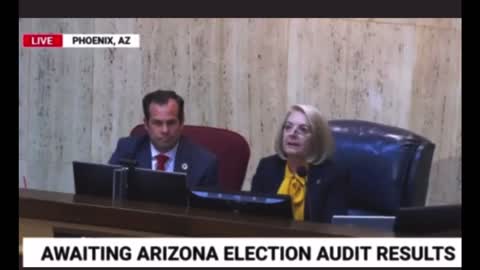 Daniel Lee gets the AZ audit wrong..