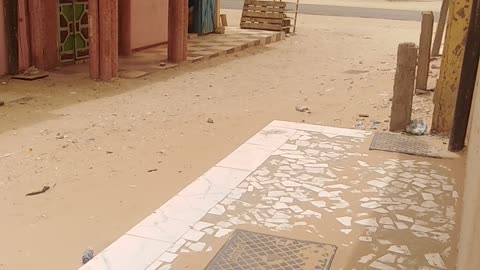 Nouakchott Mauritania