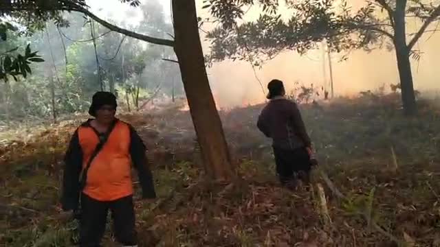 Forest Fires Hit Kalimantan Region