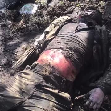 More Rotting Russians