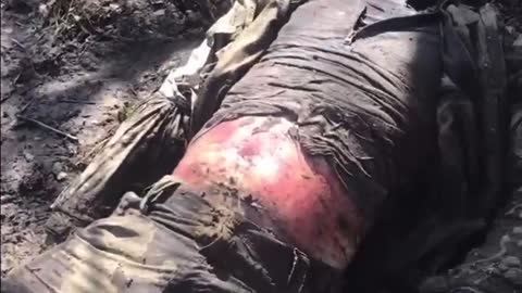 More Rotting Russians