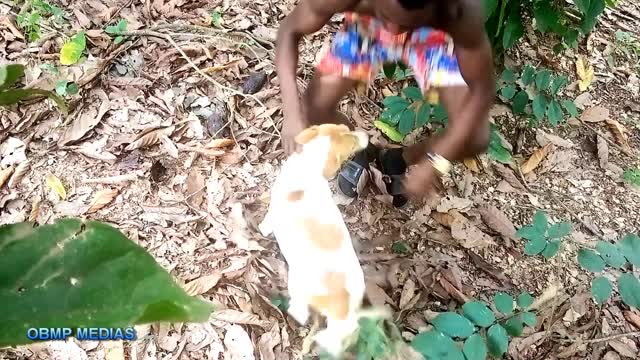 A guy playing with his dog in the bush.
