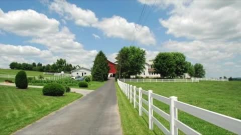 Le comunità Amish che vivono in America, va bene unirsi a loro?