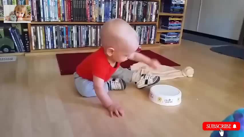 Funny baby videos Funniest babies laughing compilation