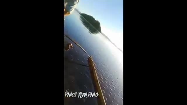 Jellyfish bloom in waters of El Nido, Palawan