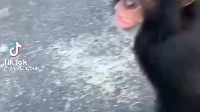 Sabri Virals '' sharing is caring ''