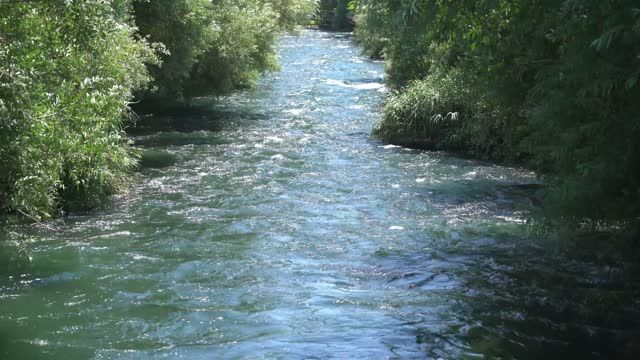 Busy river flowing down the stream