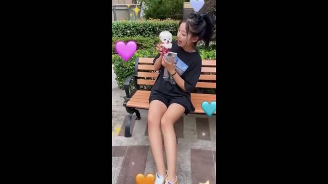 Funny and Cute Dogs Videos Compilation | dogs Funny Videos